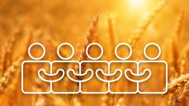 Cooperatives and Producer Companies ed_20259015