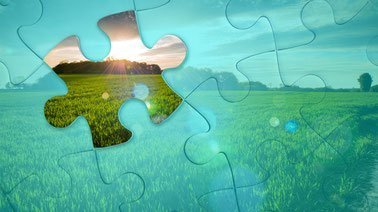 Sustainable Agribusiness Comprehensive Exam ed_20259038