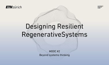 Beyond Systems Thinking ed_20259040