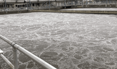 Nutrient Removal and Resource Recovery in Wastewater ed_20259055