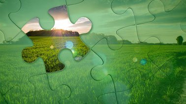 Global Food Futures and Agri-food Systems Solutions ed_20259091