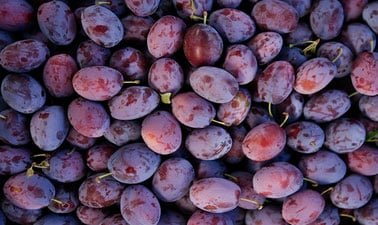 Explore How Farmers Produce Food Sustainably ed_2025912024