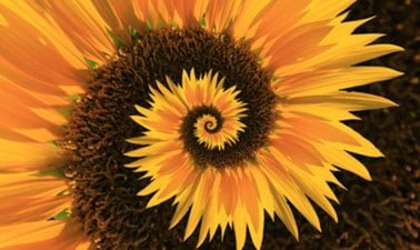 Philosophy and Critical Thinking ed_2025912032