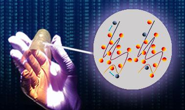 The Physics of Electronic Polymers (PEP) ed_2025912037