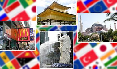 International Business Environment and Global Strategy ed_2025912046