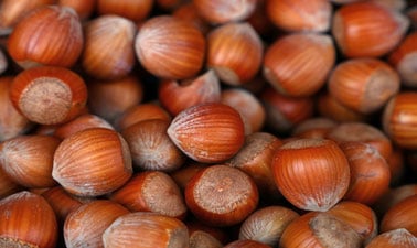 Circular Business Models for Sustainable Urban Food Systems ed_2025912133