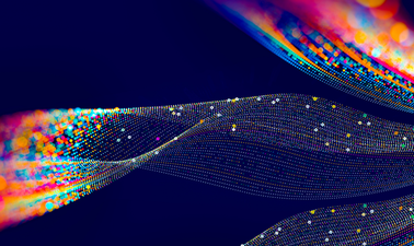 Data Monetization, Management, and Trends ed_2025912143