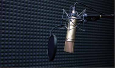 Communication Acoustics ed_2025912148