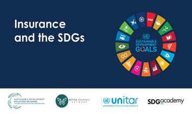 Insurance and the Sustainable Development Goals ed_2025912159