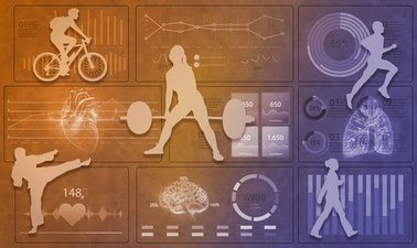 The Science of Fitness ed_2025912160