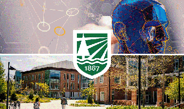 Simulation for Digital Transformation ed_2025912238