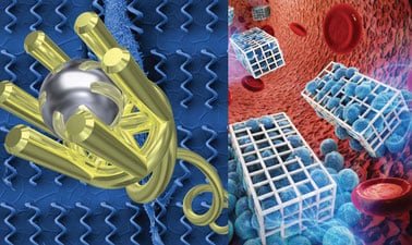 Microrobotics ed_2025912240