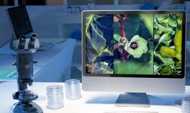 Applications of Machine Learning in Plant Science ed_2025912266