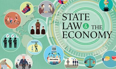 State, Law and the Economy II ed_2025912286
