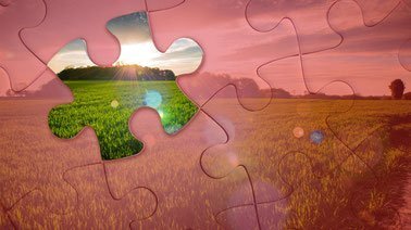 Environmental and Natural Resources Economics ed_20259123