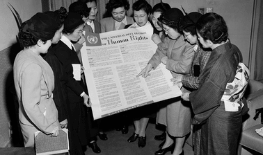 Freedom of Expression and Information in the Time of Globalization: Foundational Course ed_2025912365