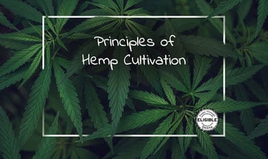 Principles of Hemp Cultivation ed_2025912371