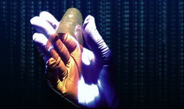 Organic Electronic Devices ed_2025912388