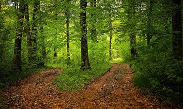 Pathways to Happiness ed_2025912461