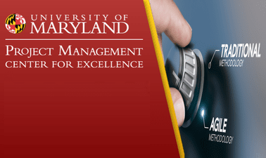 Determining Ways of Working for Technical Project Management ed_2025912477