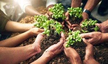 Emotional Resilience and the Ecological Self ed_20259125