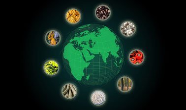 Sustainable Trade ed_2025912507