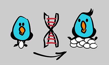 Genetic Models for Animal Breeding ed_2025912519