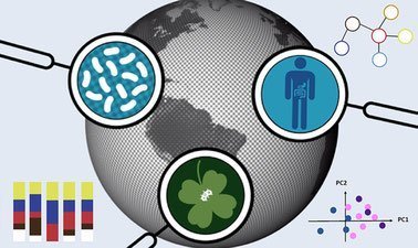 How to analyze a microbiome ed_2025912531