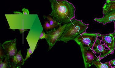 Image Processing and Analysis for Life Scientists ed_2025912570