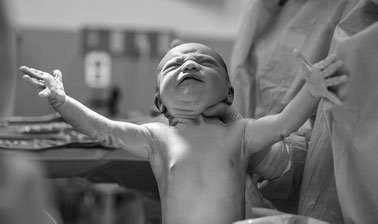 Human Reproduction ed_2025912600