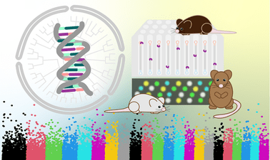 Genetics: Population Genetics and Human Traits ed_2025912601