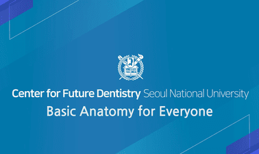 Basic Anatomy for Everyone ed_2025912603