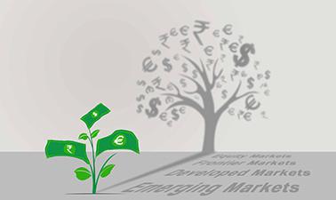 Introduction to Investments ed_2025912606