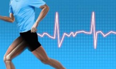 The Body Matters: Why Exercise Makes You Healthy and How to Stay Uninjured ed_2025912613