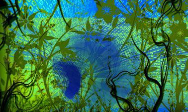 Introduction to Management Information Systems (MIS): A Survival Guide ed_2025912627