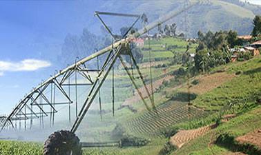 Sustainable Food Security: Crop Production ed_2025912655