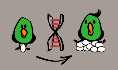 Evaluating Animal Breeding Programmes ed_2025912675