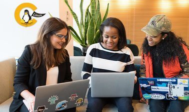 C Programming: Pointers and Memory Management ed_2025912676