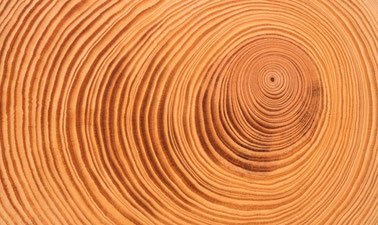 The Art and Science of Decision Making ed_20259155