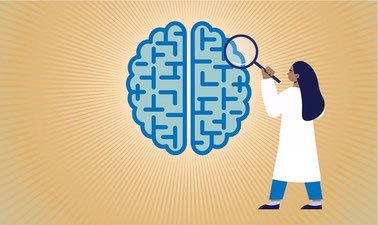 Behavioral Neuroscience: Analyzing Anxiety and Depression ed_20259184