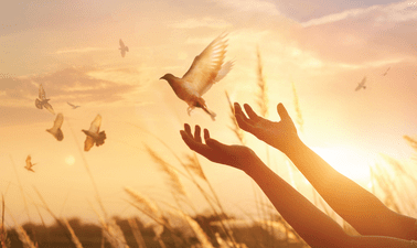 Navigating Peace Education in Times of Conflict ed_20259188