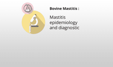 Mastitis epidemiology and diagnostic ed_20259224