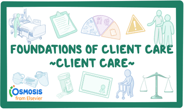 Foundations of Client Care 3: Client Care ed_20259232