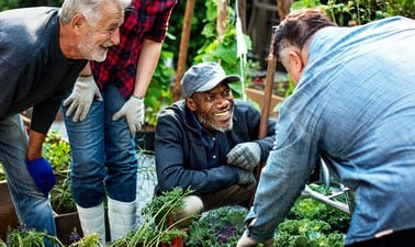 Resilience in the Anthropocene ed_20259293