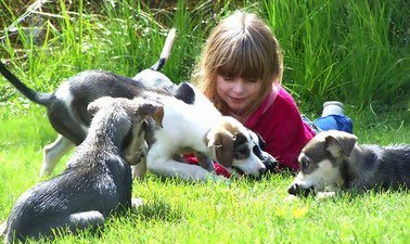 Operationalizing One Health ed_20259307