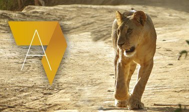 Conservation & Protected Areas Management in Africa ed_20259326