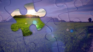 Agricultural Economic Modeling Tools ed_20259329