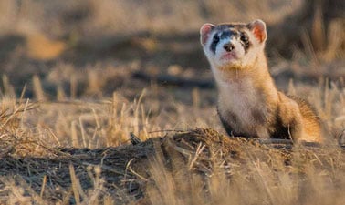 Grant Proposal Writing ed_20259355