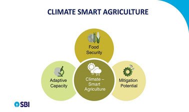 Climate Smart Agriculture ed_20259368