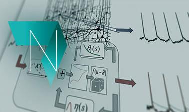 Neuronal Dynamics ed_20259424